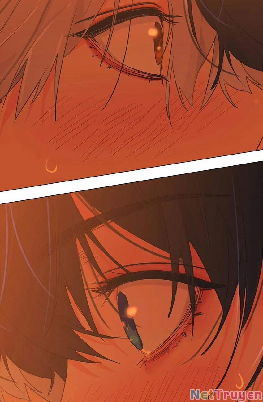 Đâu Phải Tại Tui Muốn Giả Gái 82 trang 2