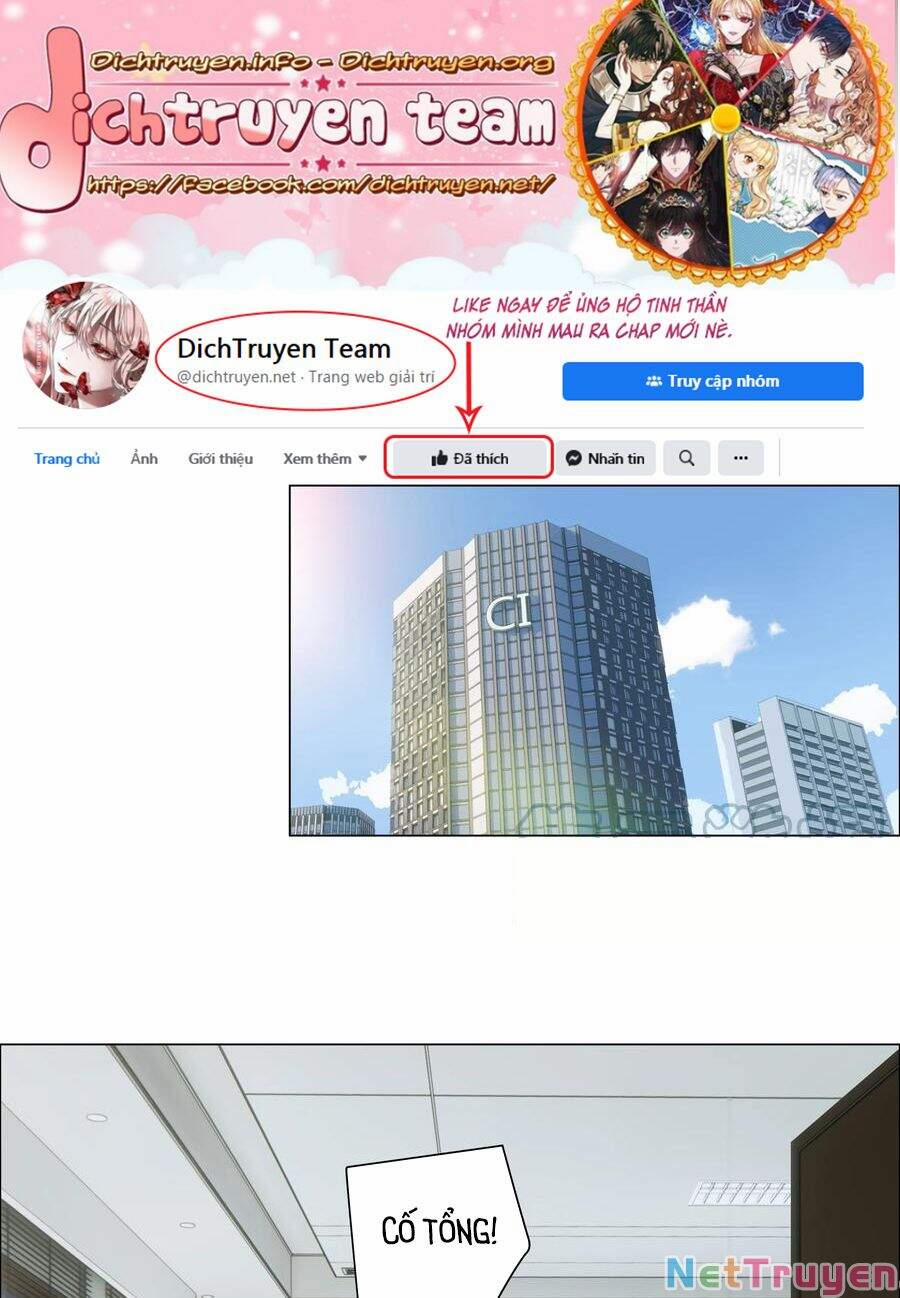 Đâu Phải Tại Tui Muốn Giả Gái 82 trang 33