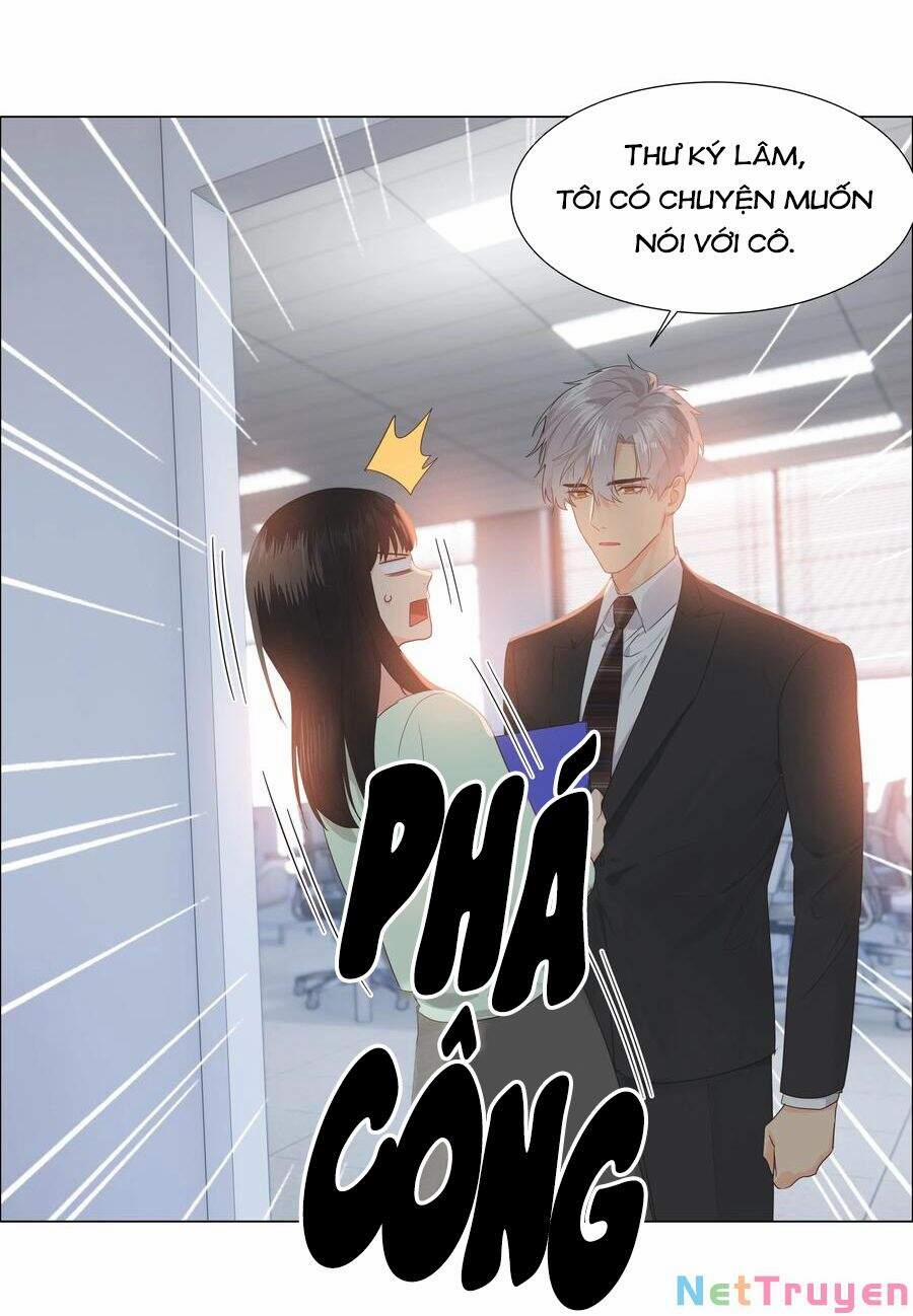 Đâu Phải Tại Tui Muốn Giả Gái 82 trang 43