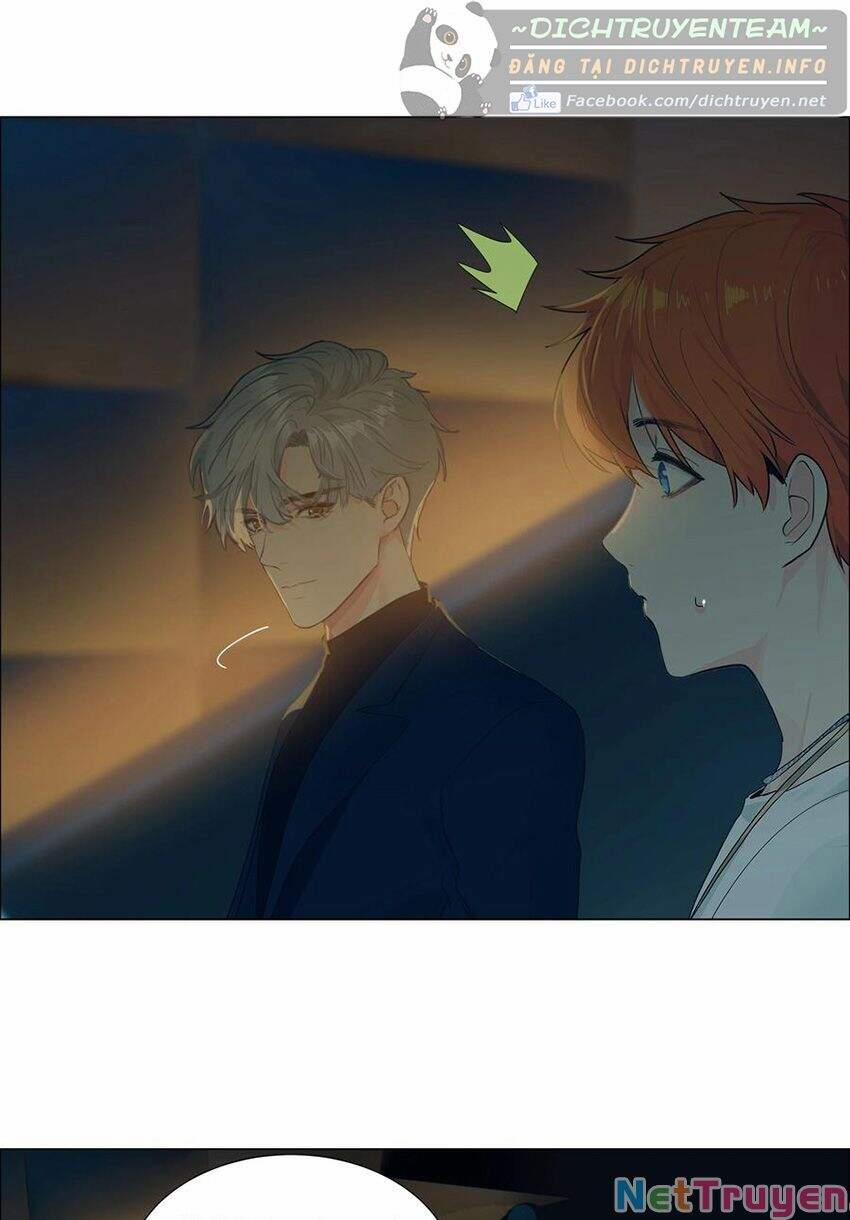 Đâu Phải Tại Tui Muốn Giả Gái 84 trang 29