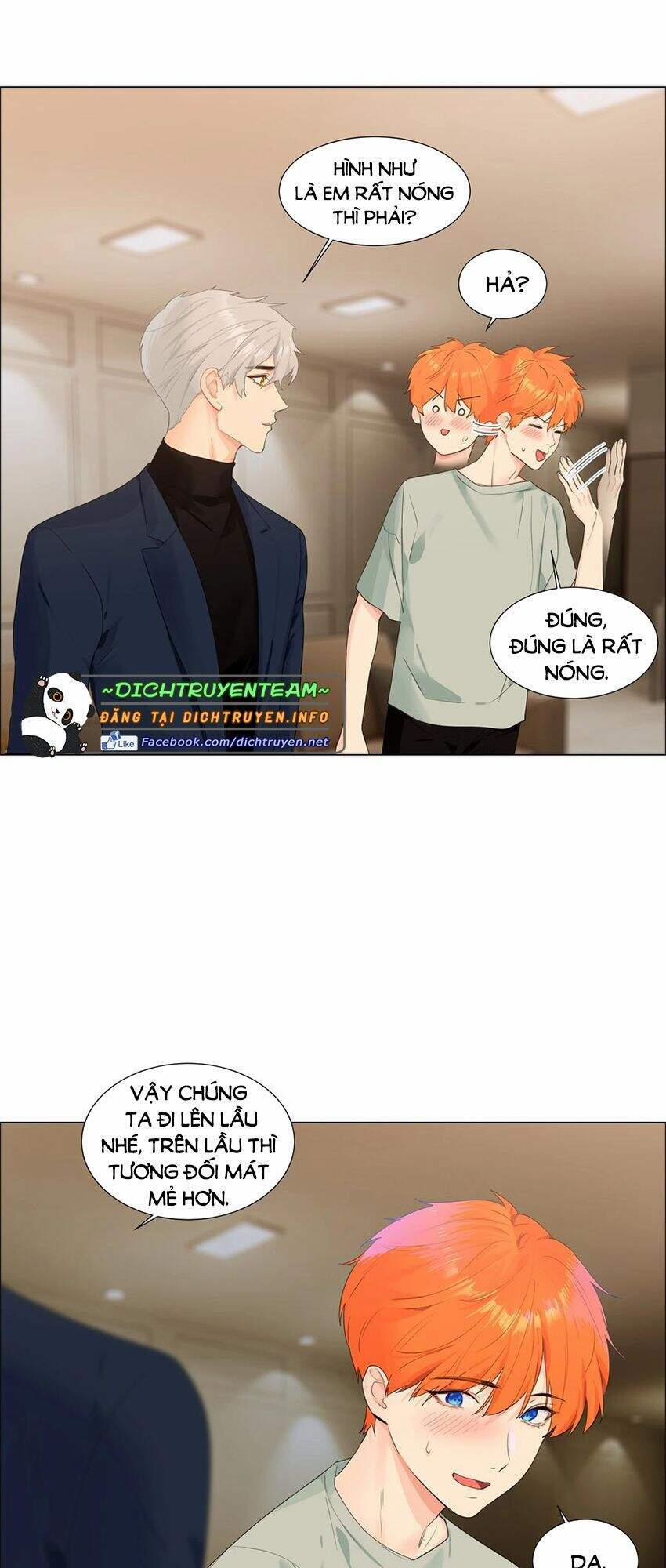 Đâu Phải Tại Tui Muốn Giả Gái 85 trang 19