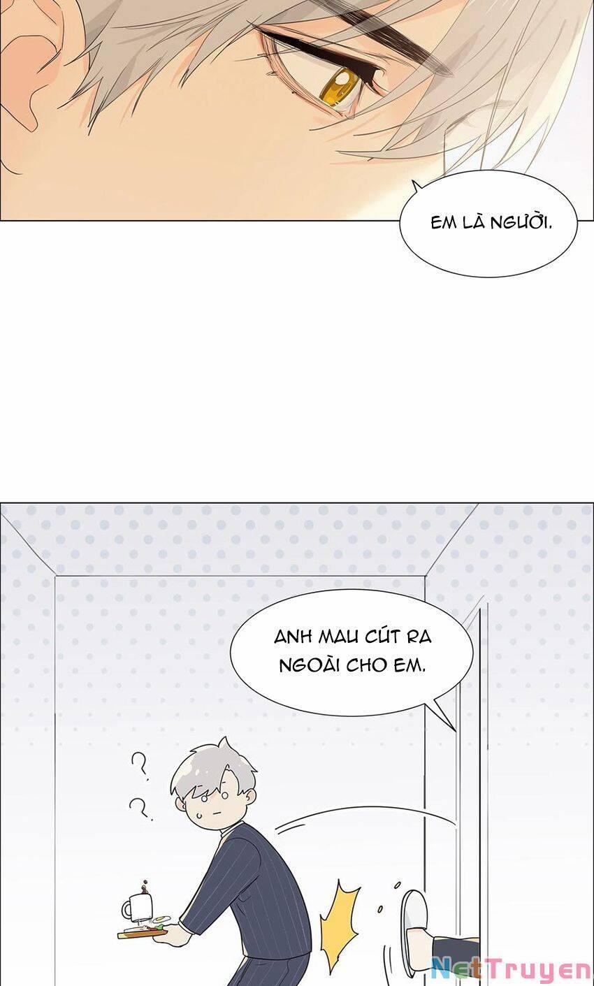 Đâu Phải Tại Tui Muốn Giả Gái 88 trang 8