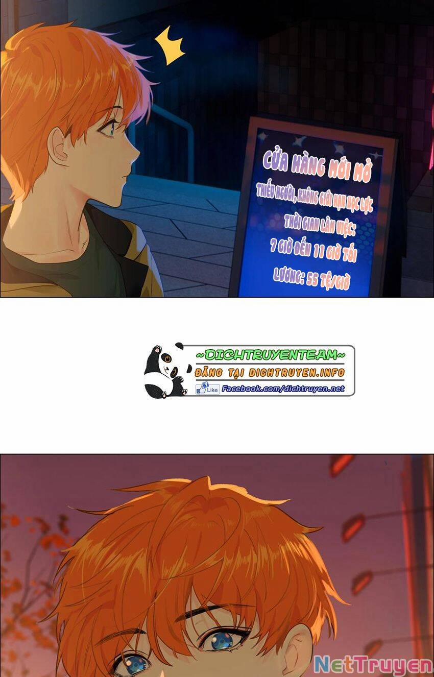 Đâu Phải Tại Tui Muốn Giả Gái 91 trang 16