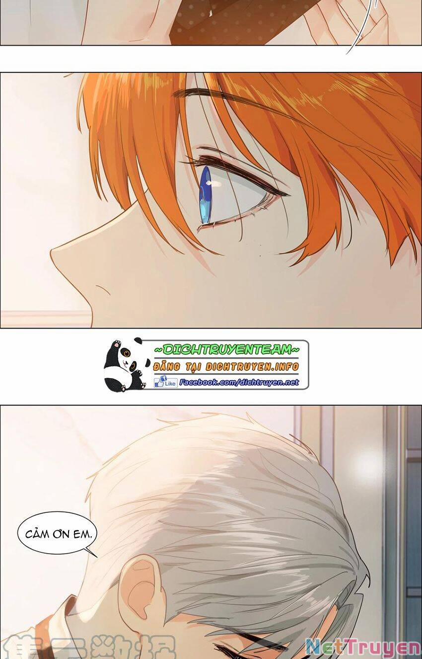 Đâu Phải Tại Tui Muốn Giả Gái 91 trang 7