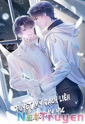 Đâu Phải Tại Tui Muốn Giả Gái 95 trang 43