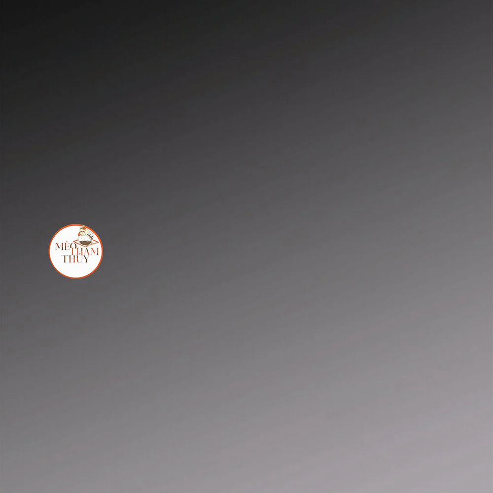 Dấu Vết Vô Hình 1 trang 13