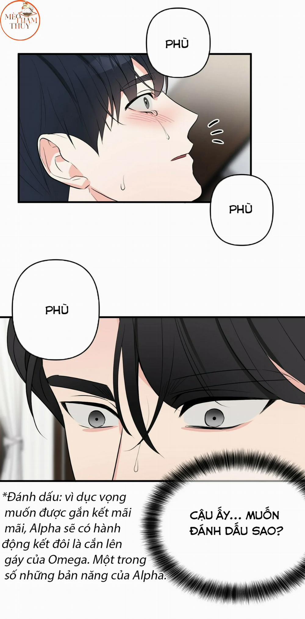 Dấu Vết Vô Hình 12 trang 23