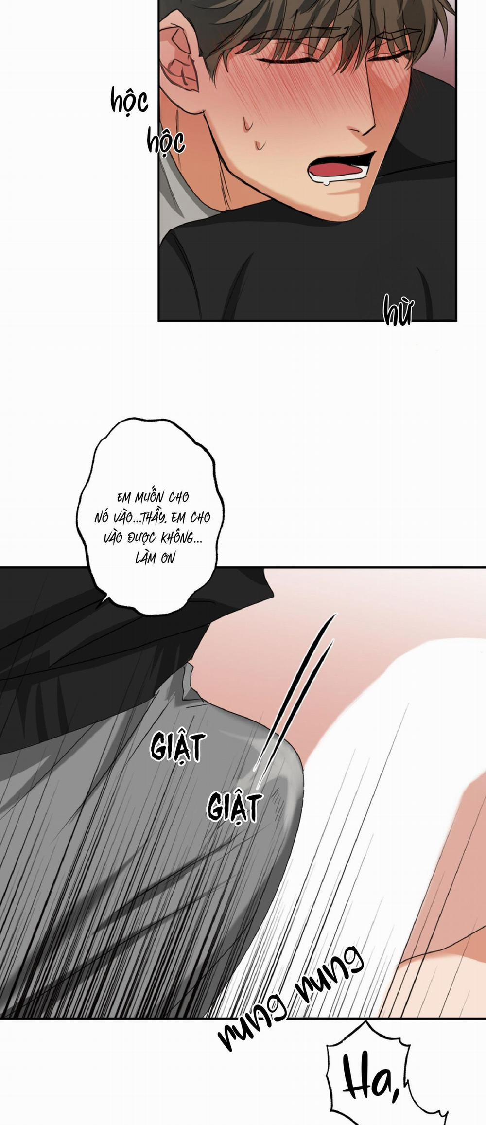 Dạy Chịch 11 trang 15