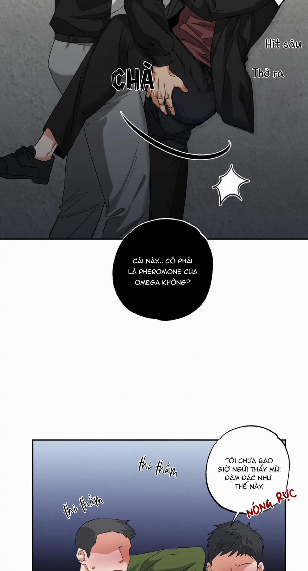 Dạy Chịch 11 trang 22