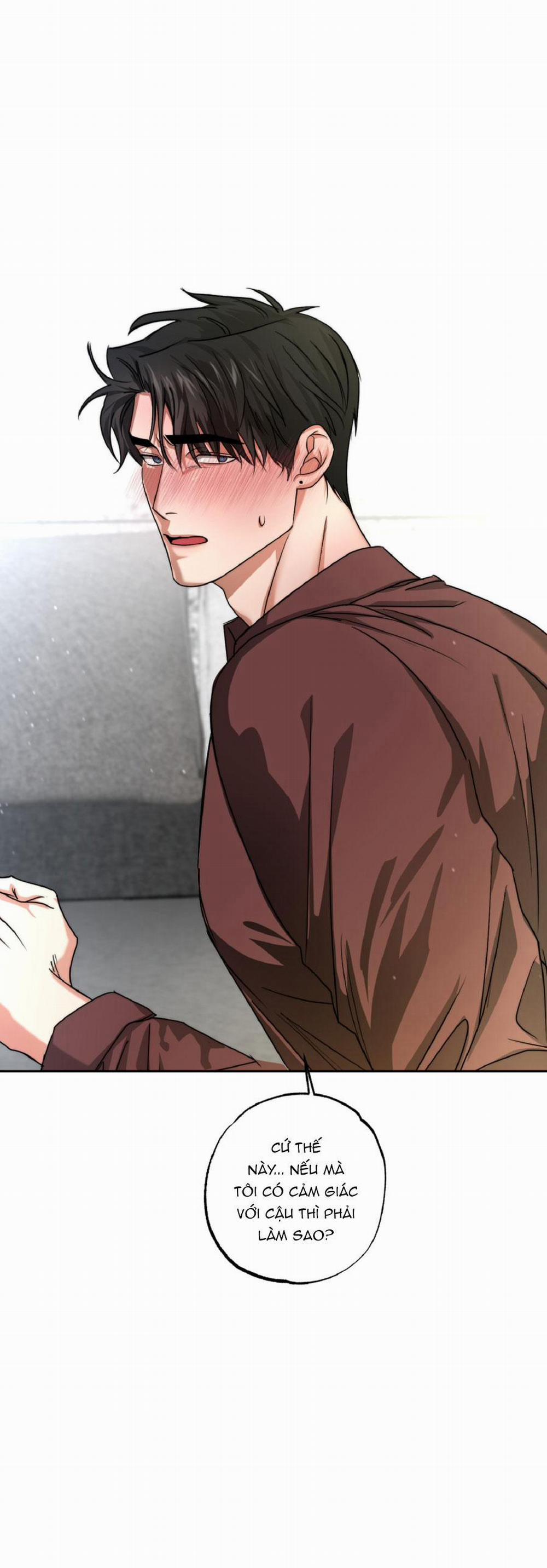 Dạy Chịch 12 trang 19