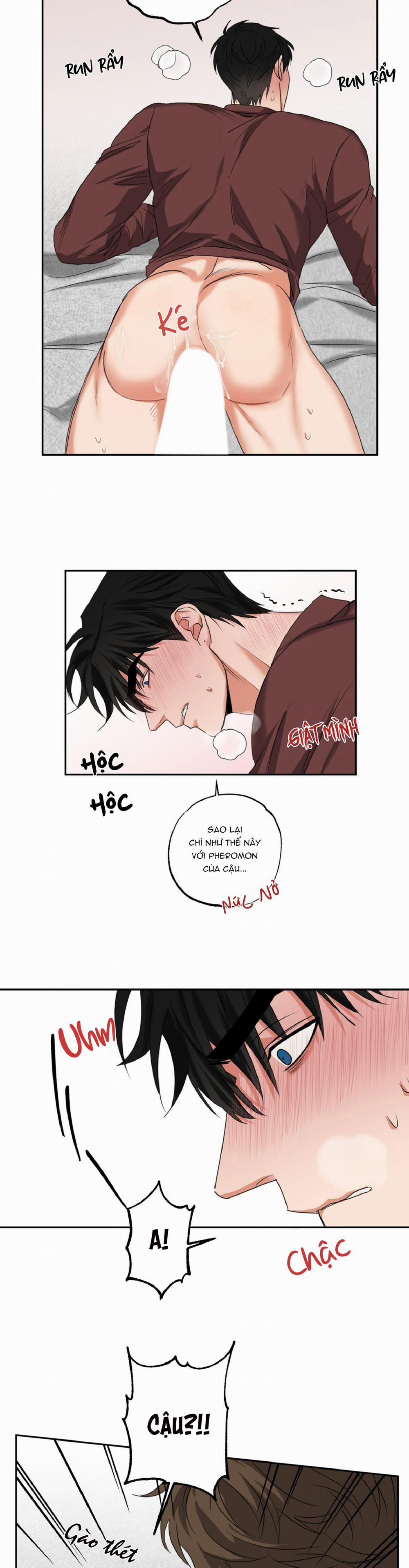 Dạy Chịch 13 trang 2