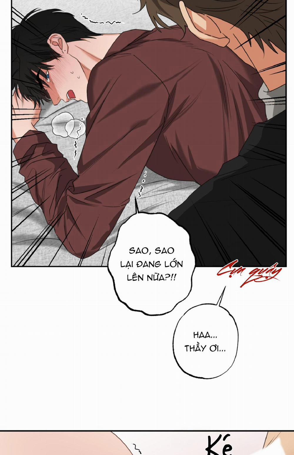 Dạy Chịch 13 trang 3