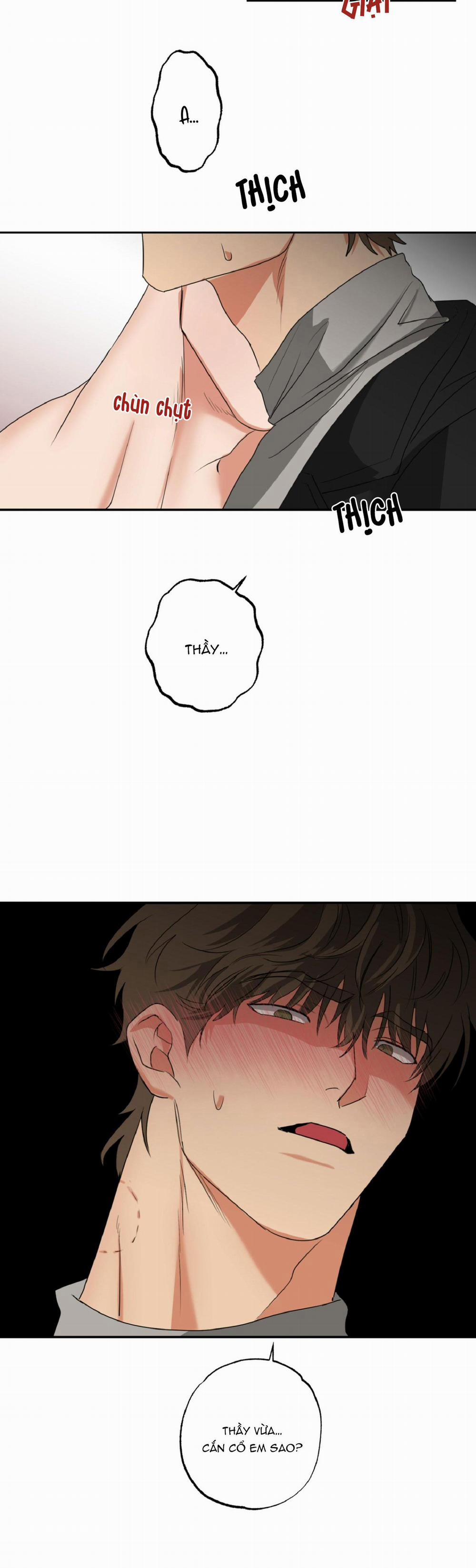 Dạy Chịch 14 trang 3