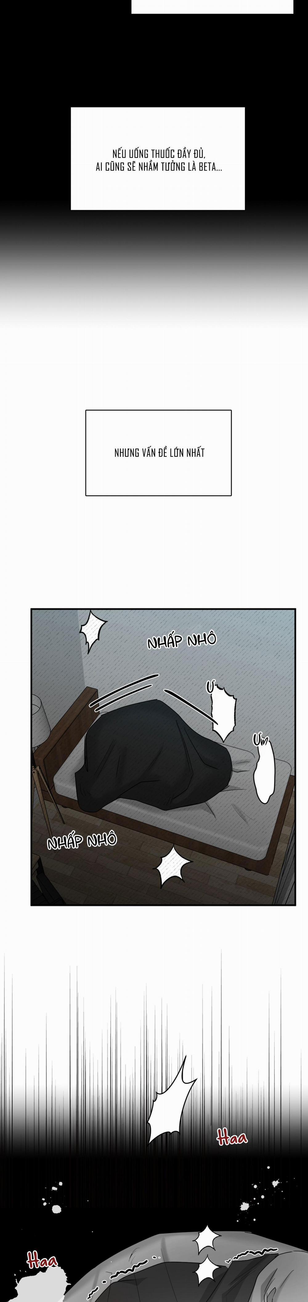 Dạy Chịch 6 trang 29