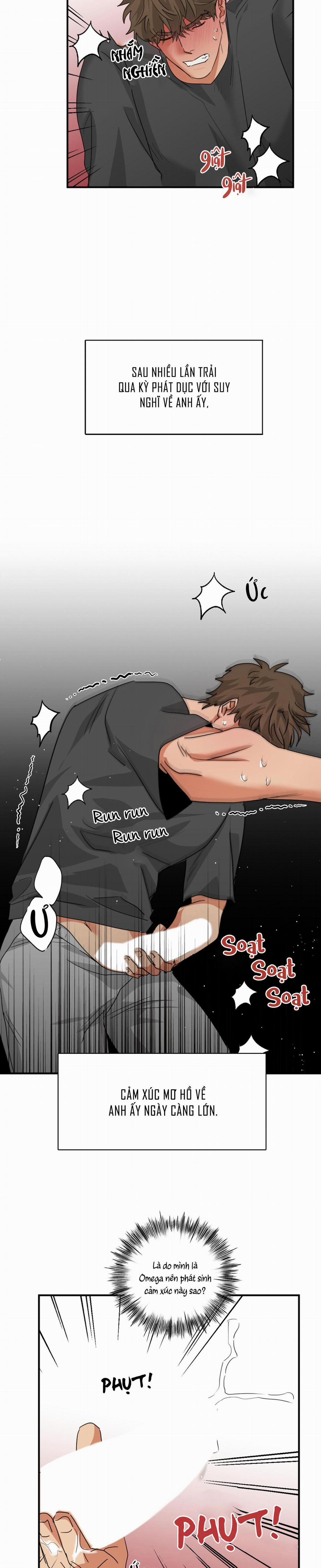 Dạy Chịch 6 trang 31