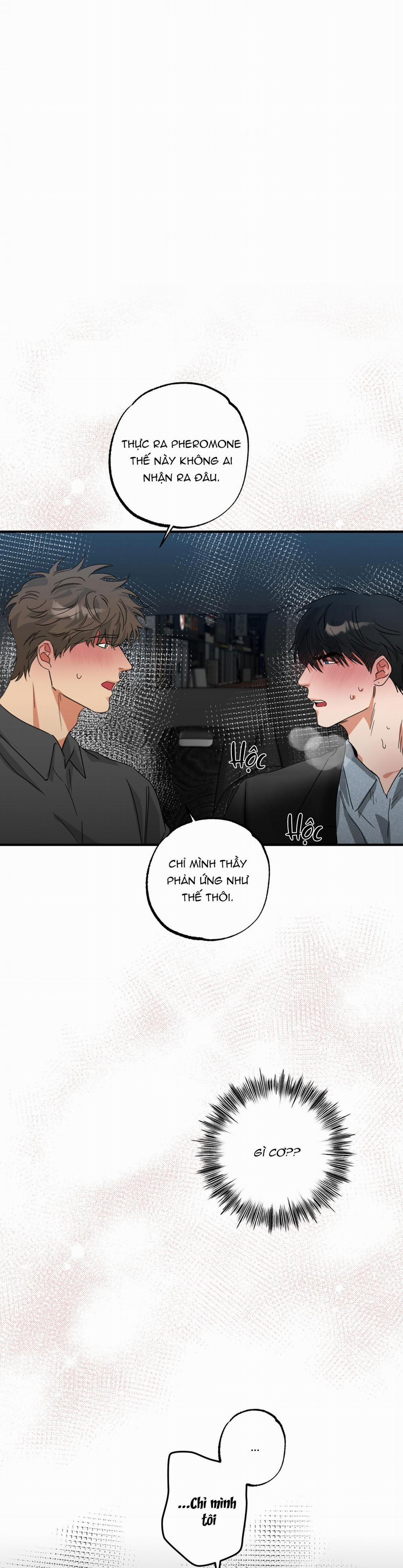 Dạy Chịch 8 trang 0