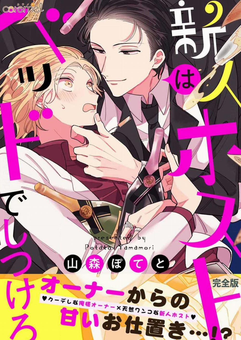 Dạy Dỗ Tên Host Tay Mơ 6 trang 0