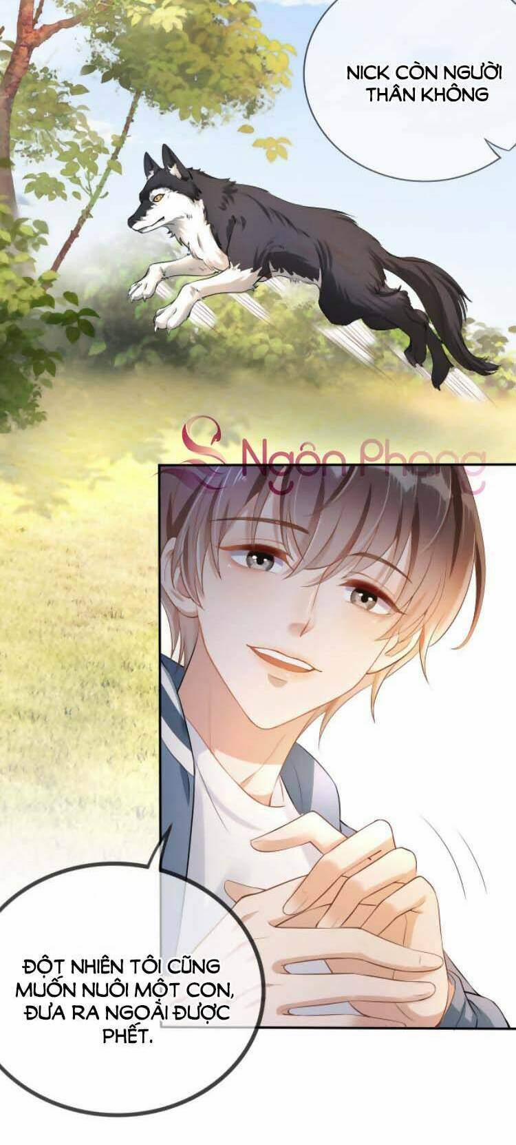 Dây Dưa Không Dứt 8 trang 13