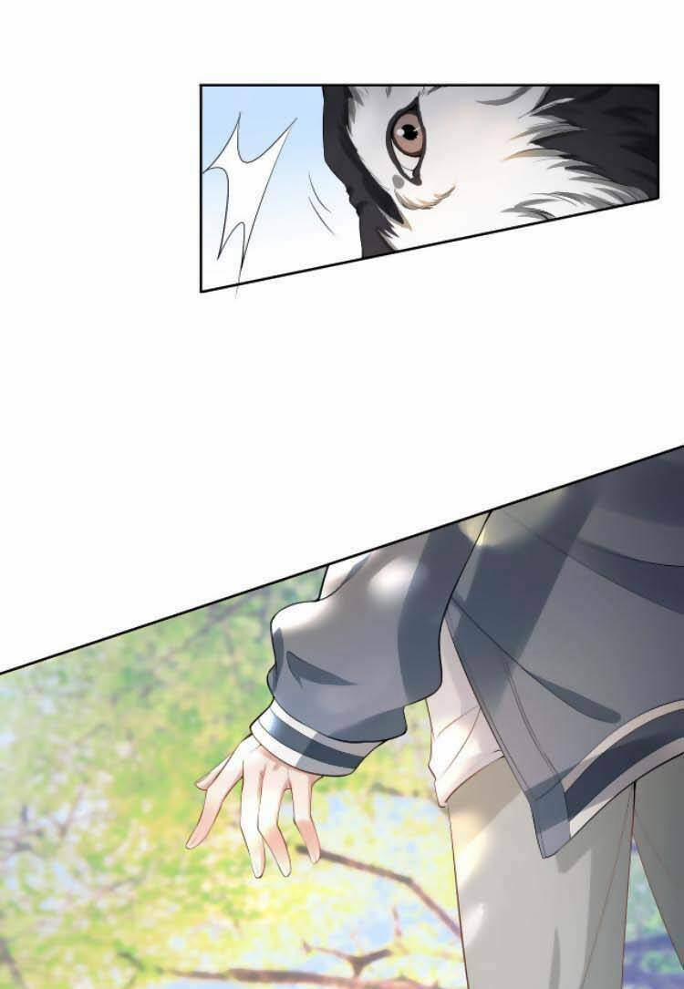 Dây Dưa Không Dứt 8 trang 2