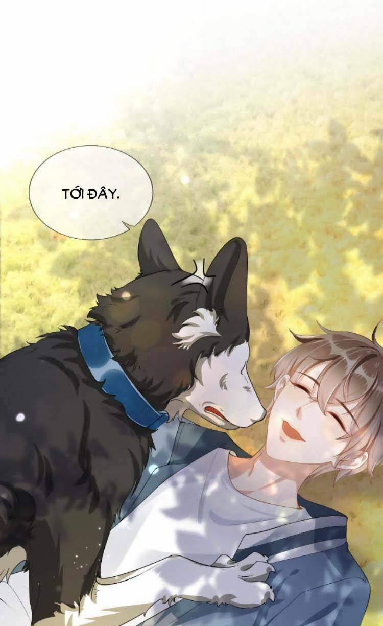 Dây Dưa Không Dứt 8 trang 4