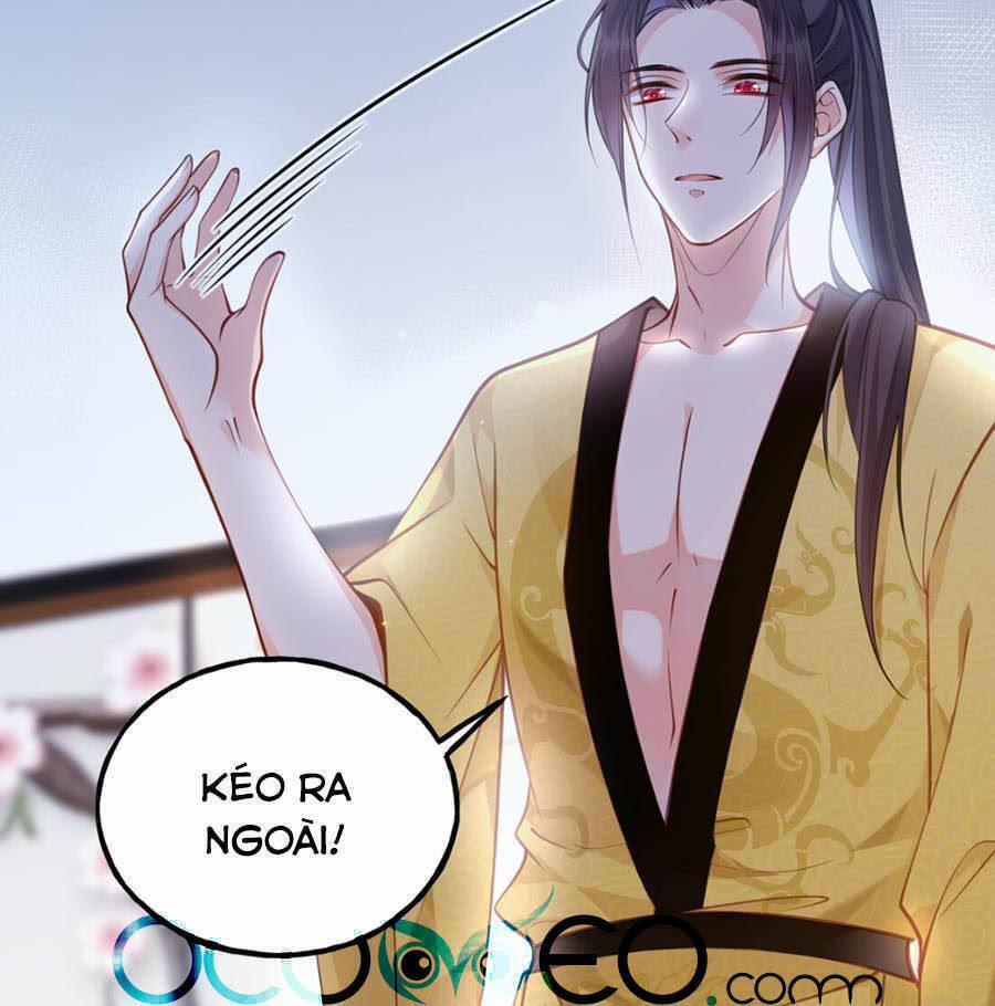 Đây Không Muốn Cung Đấu Mà 10 trang 4