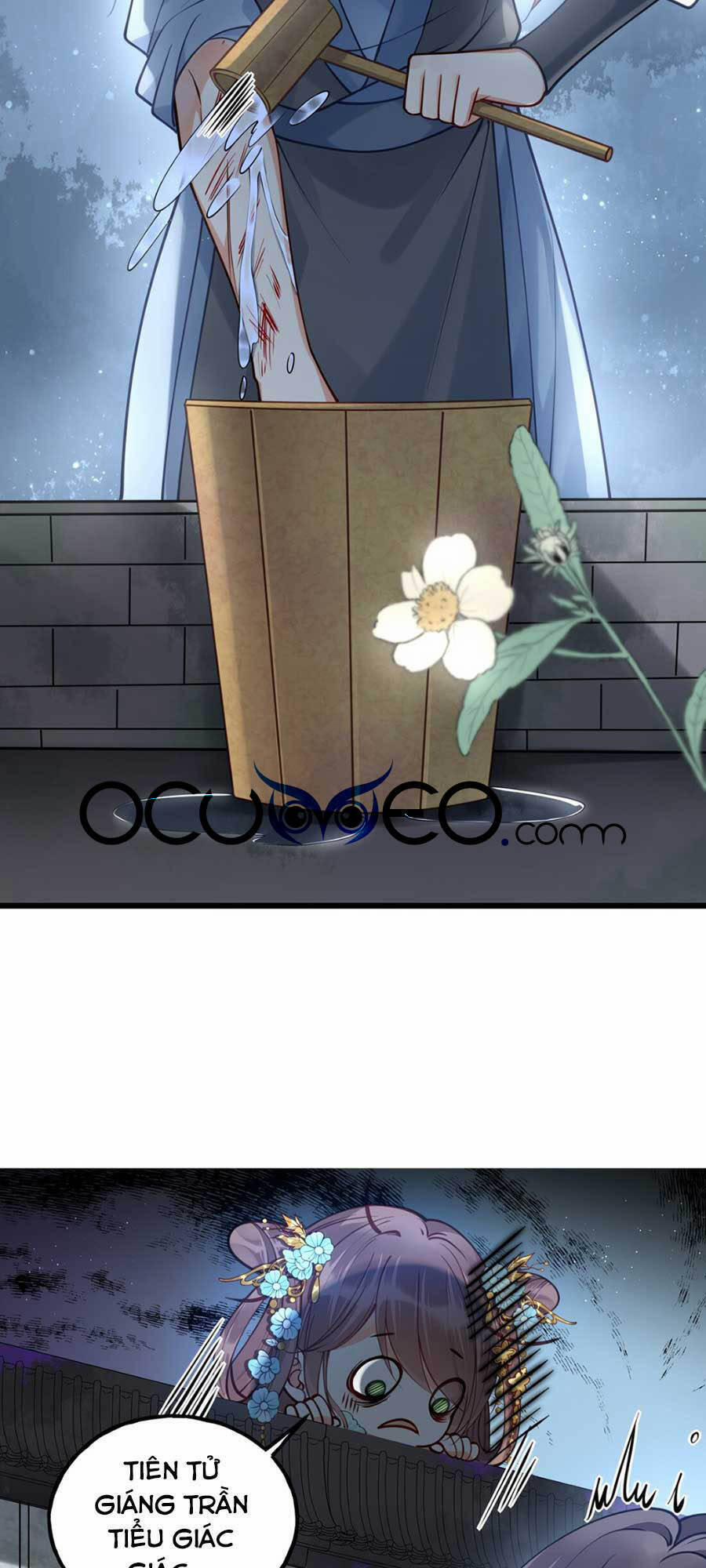 Đây Không Muốn Cung Đấu Mà 11 trang 17