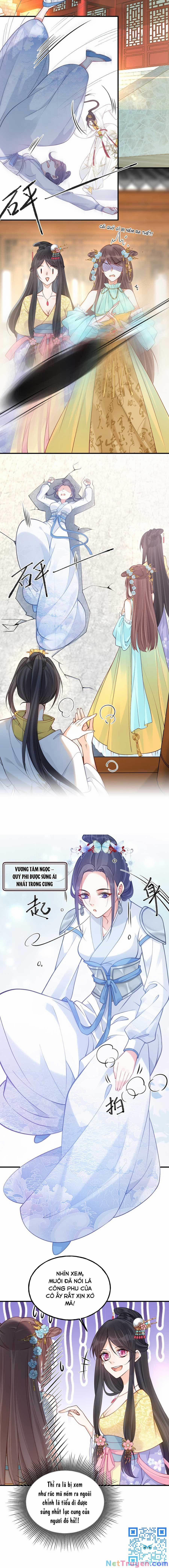 Đây Không Muốn Cung Đấu Mà 12 trang 6