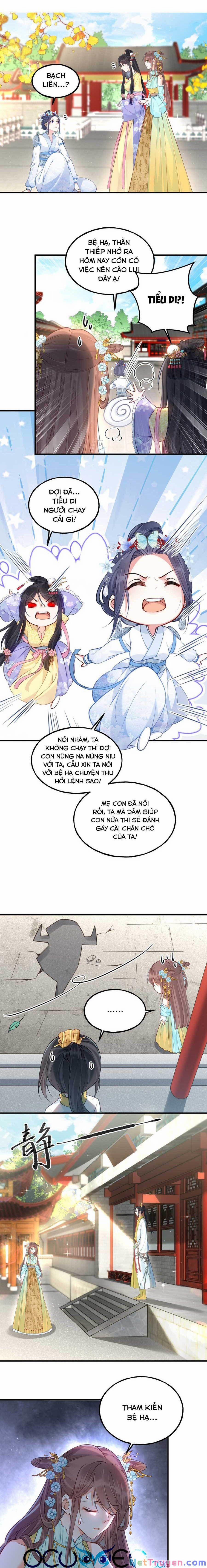 Đây Không Muốn Cung Đấu Mà 13 trang 0