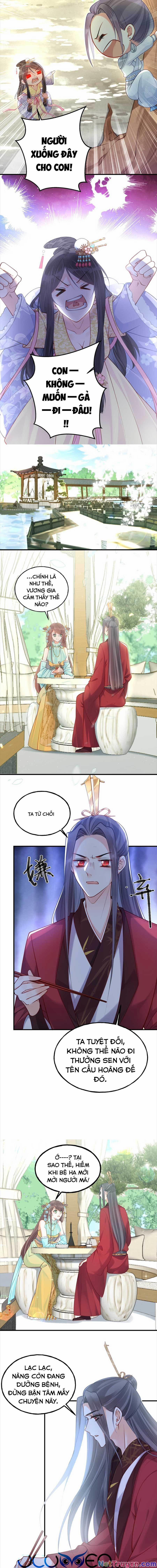 Đây Không Muốn Cung Đấu Mà 13 trang 4