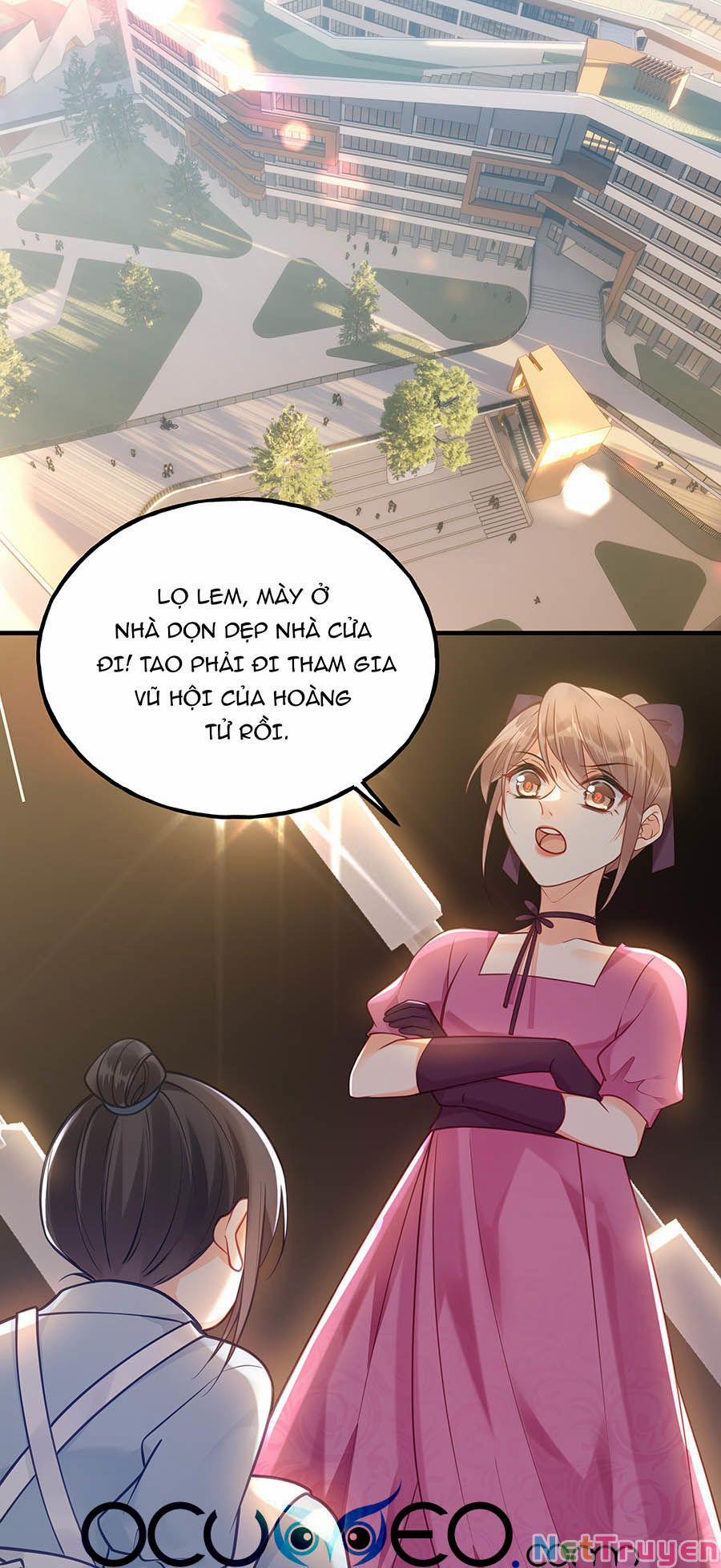 Đây Không Muốn Cung Đấu Mà 23 trang 0