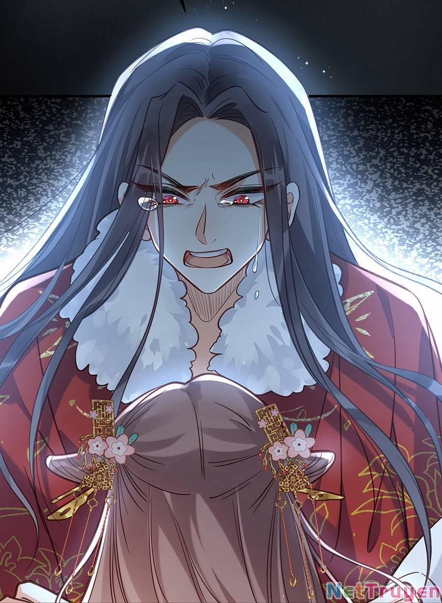 Đây Không Muốn Cung Đấu Mà 28 trang 40