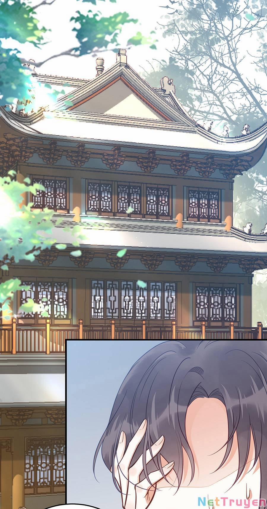 Đây Không Muốn Cung Đấu Mà 30 trang 0