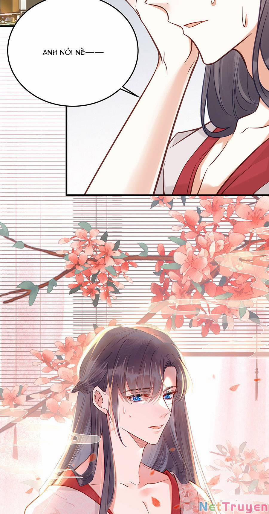 Đây Không Muốn Cung Đấu Mà 30 trang 1