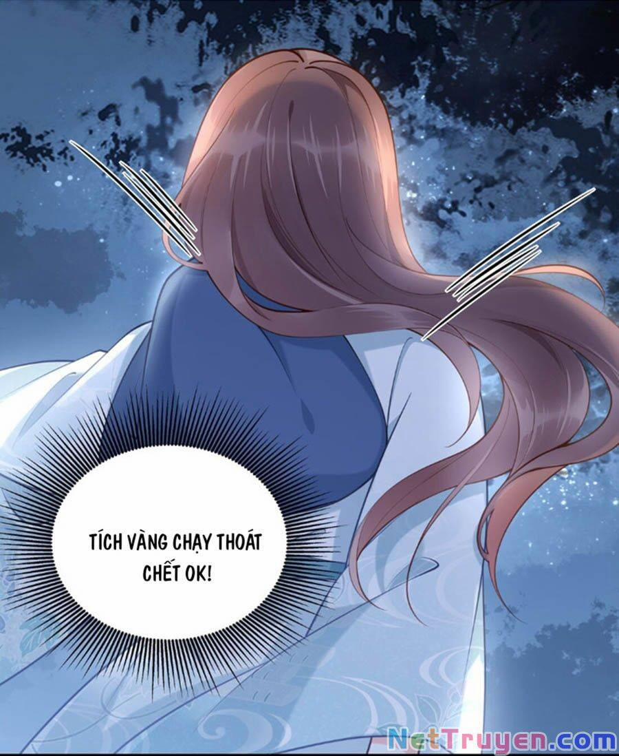 Đây Không Muốn Cung Đấu Mà 4 trang 0