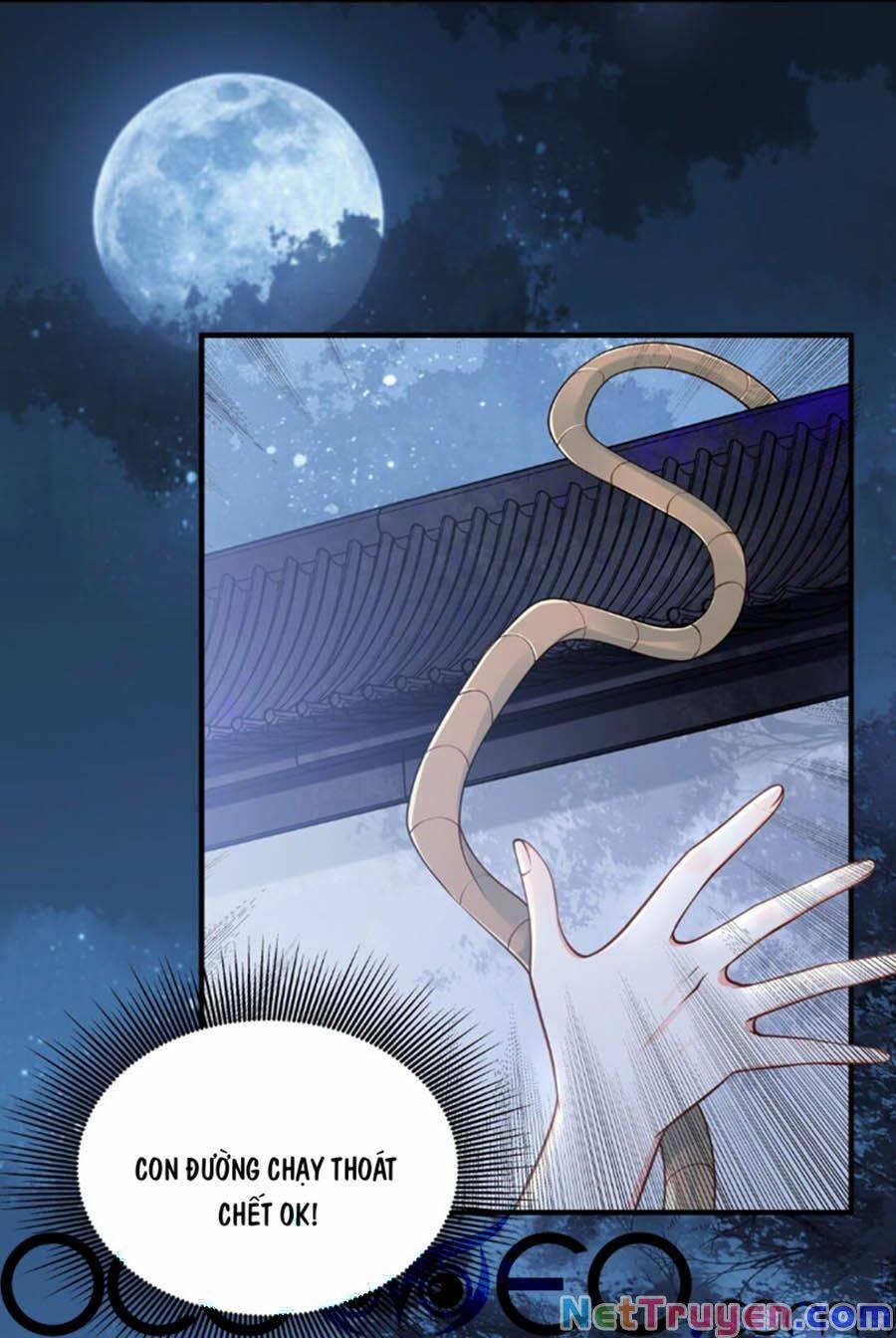 Đây Không Muốn Cung Đấu Mà 4 trang 1