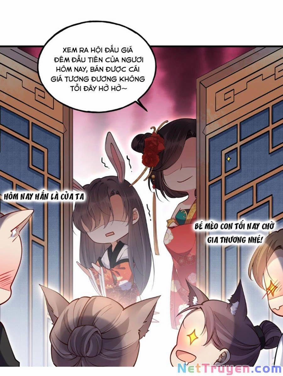 Đây Không Muốn Cung Đấu Mà 4 trang 17