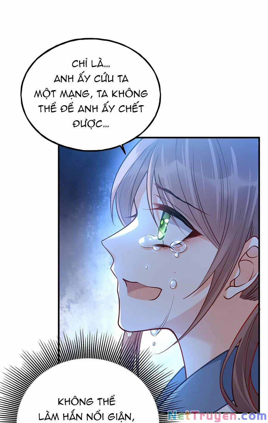 Đây Không Muốn Cung Đấu Mà 7 trang 11