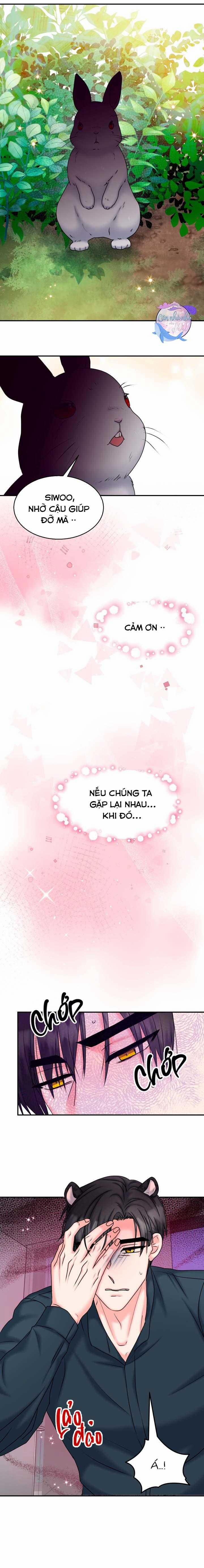 Đây Là Chú Thỏ Mà Bạn (Không) Đã Đặt Hàng 20 trang 10