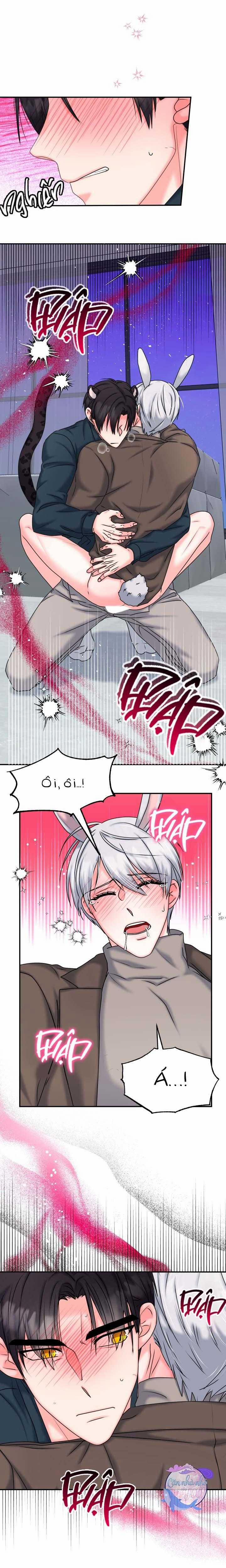 Đây Là Chú Thỏ Mà Bạn (Không) Đã Đặt Hàng 20 trang 11