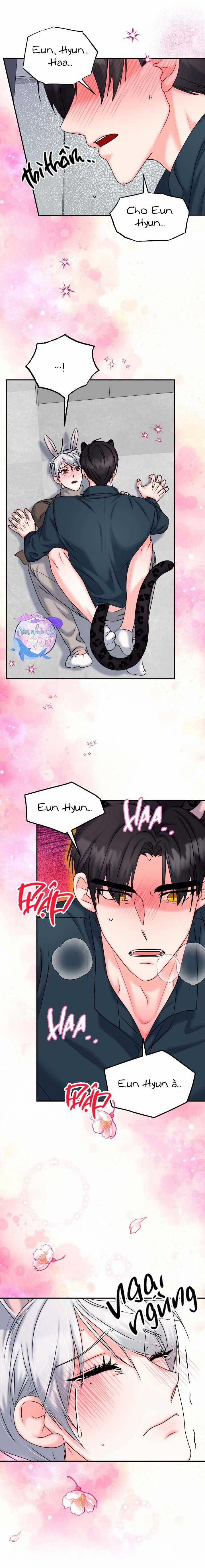 Đây Là Chú Thỏ Mà Bạn (Không) Đã Đặt Hàng 20 trang 8