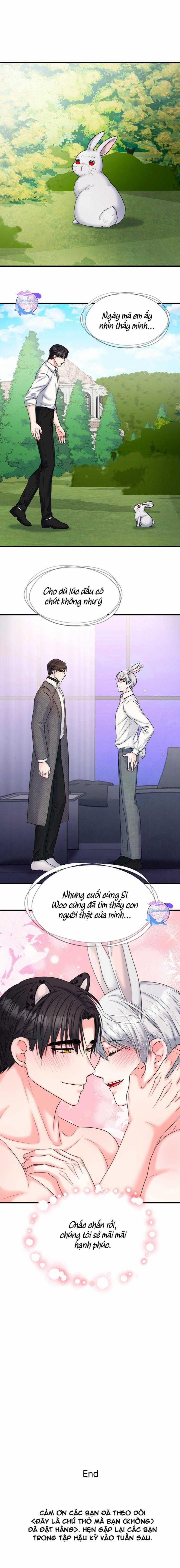 Đây Là Chú Thỏ Mà Bạn (Không) Đã Đặt Hàng 25 trang 10