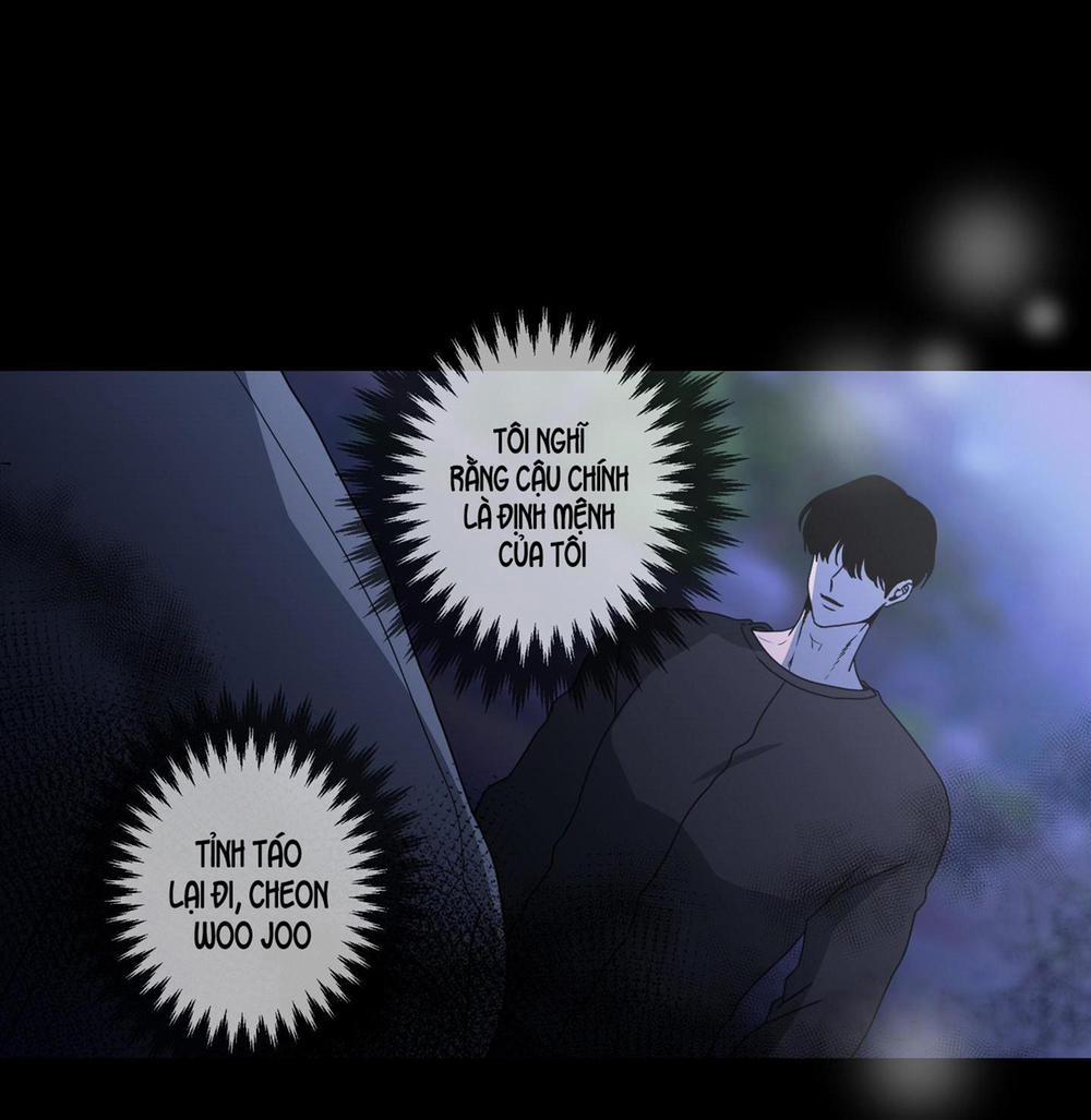 ĐÂY LÀ ĐỊNH MỆNH NHƯ TRONG LỜI ĐỒN SAO!? 15 trang 12