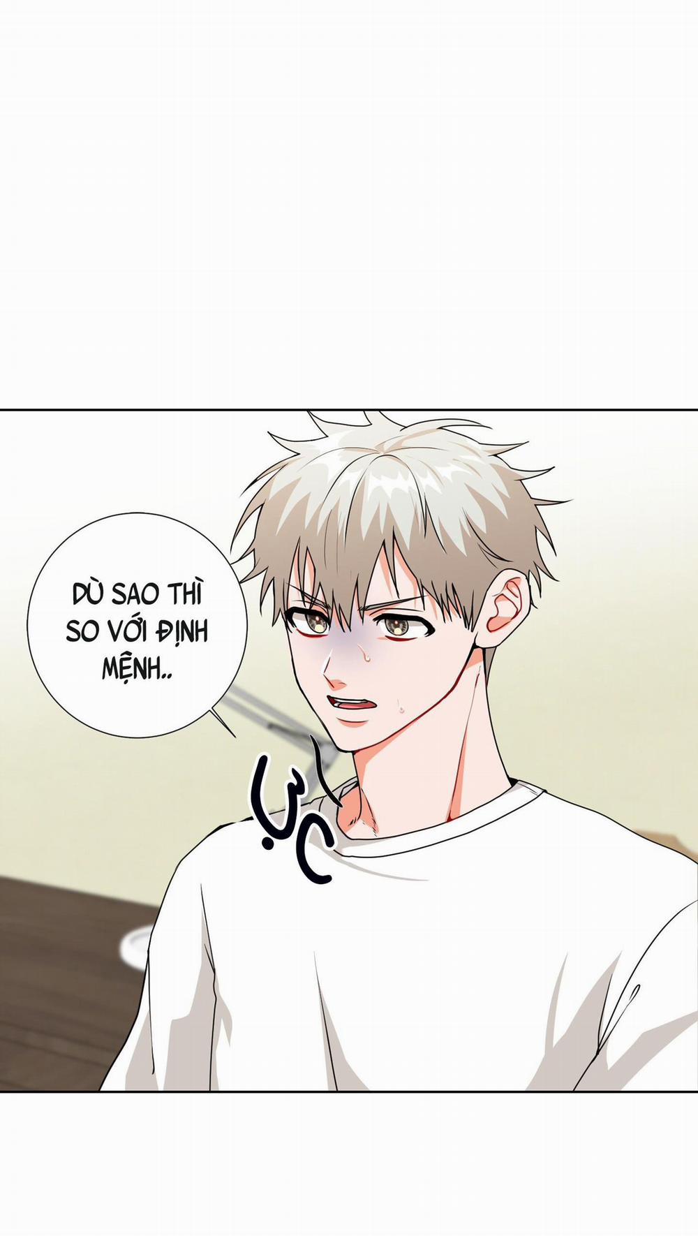 ĐÂY LÀ ĐỊNH MỆNH NHƯ TRONG LỜI ĐỒN SAO!? 4 trang 1