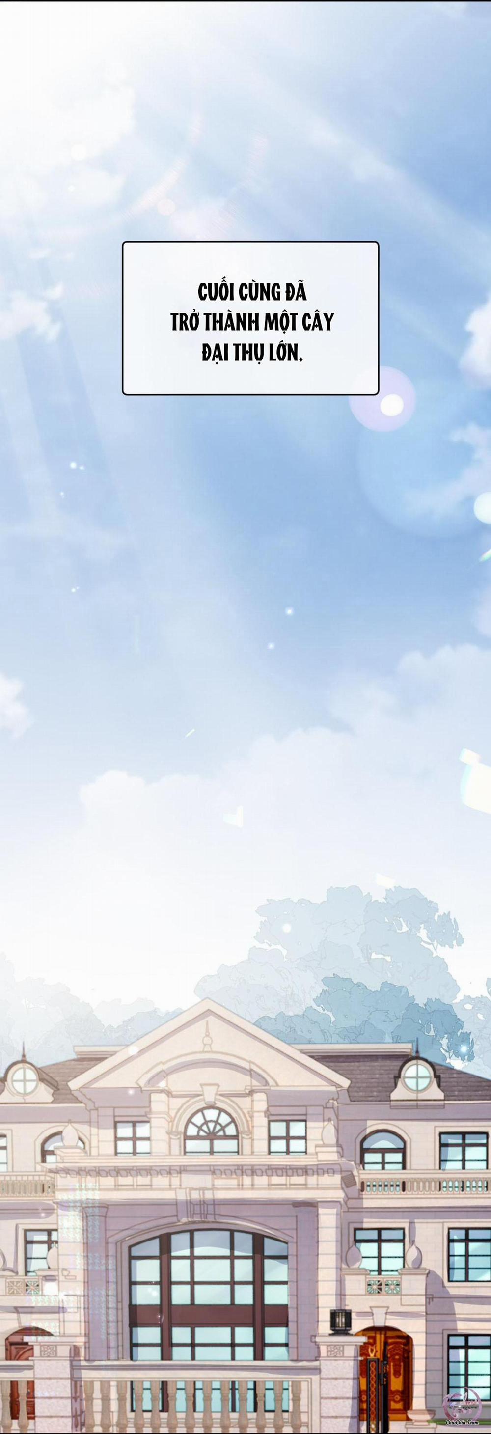 Đề Nghị Ly Hôn 61 trang 15