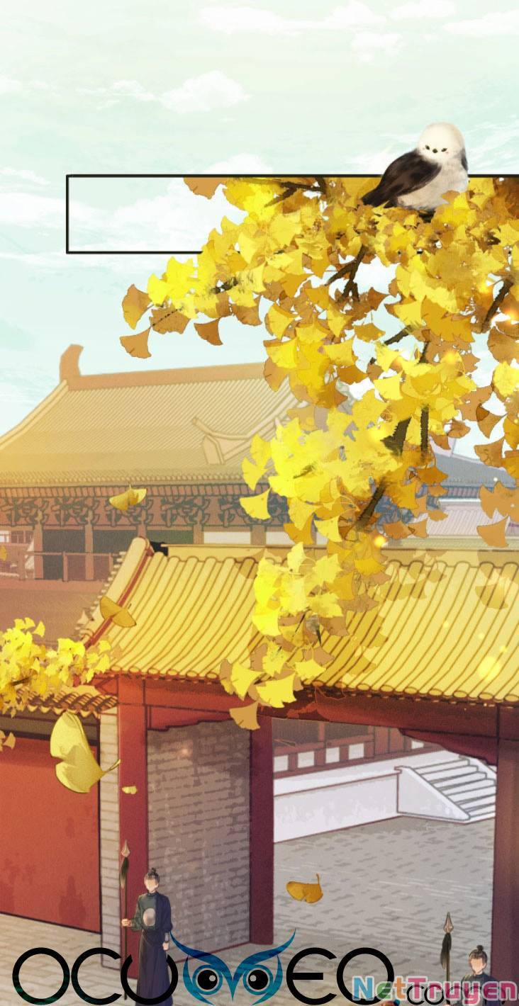 Để Ta Làm Ánh Trăng Đen Của Hôn Quân 1 trang 0