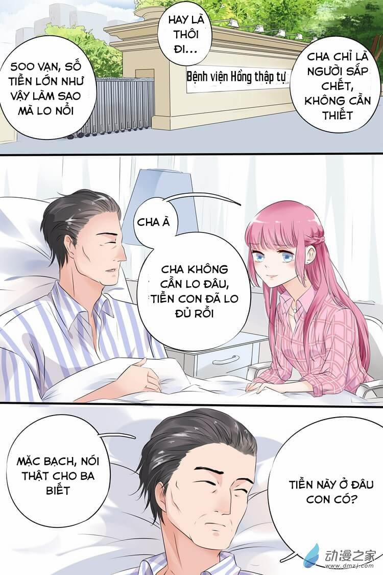 Đế Thiếu Đừng Mạnh Quá 2 trang 4