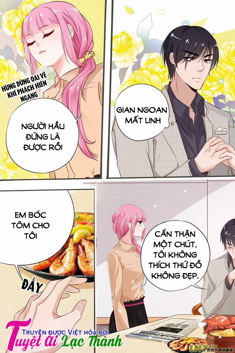 Đế Thiếu Đừng Mạnh Quá 21 trang 4