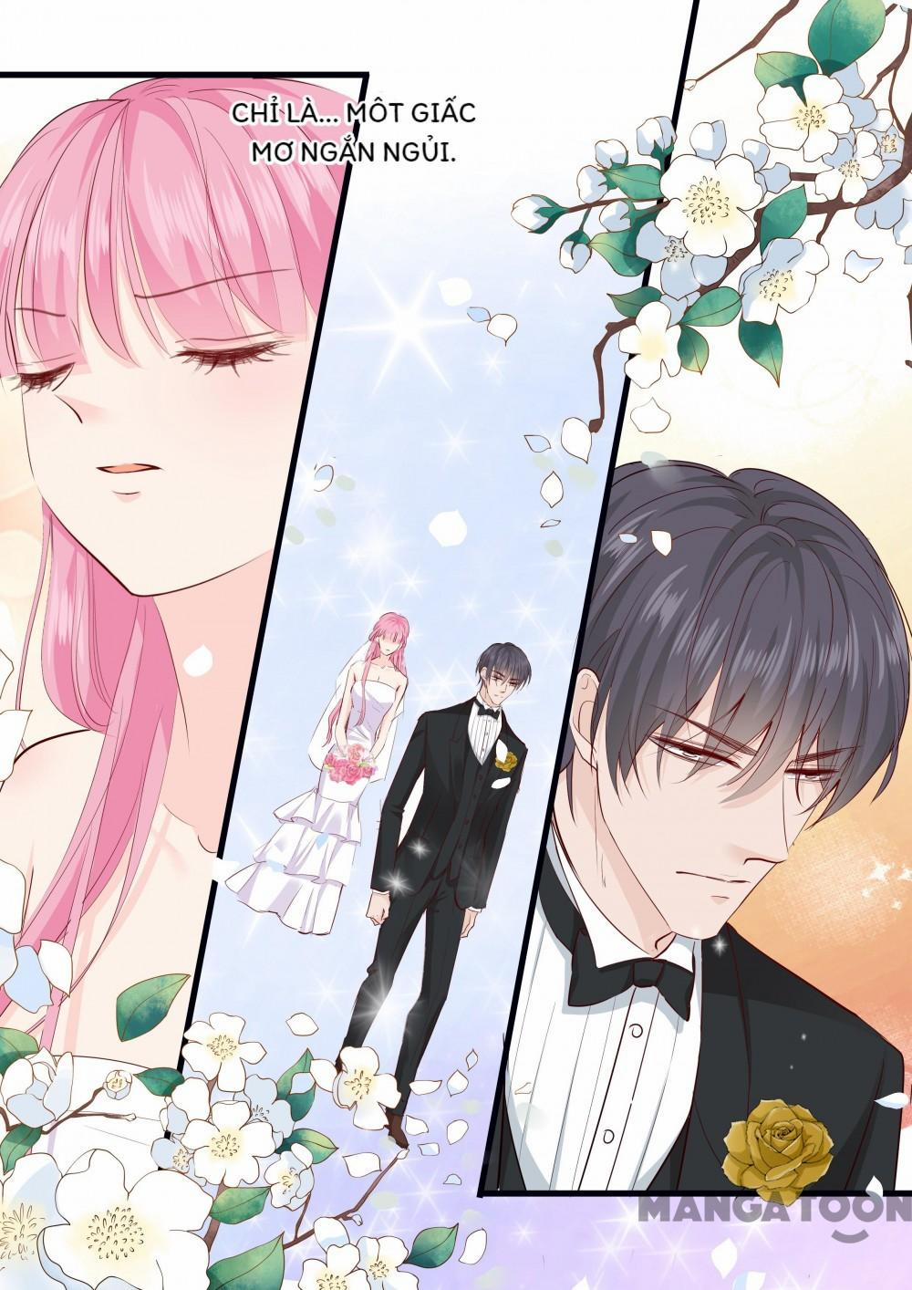 Đế Thiếu Đừng Mạnh Quá 272 trang 2