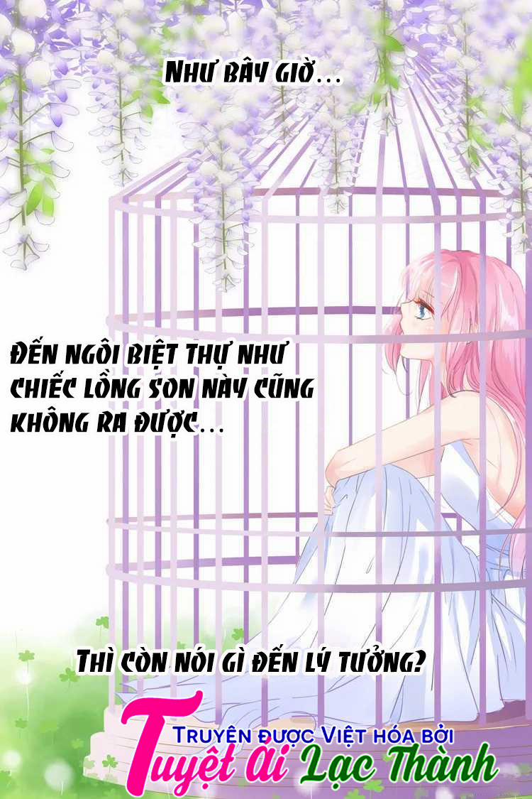 Đế Thiếu Đừng Mạnh Quá 29 trang 7