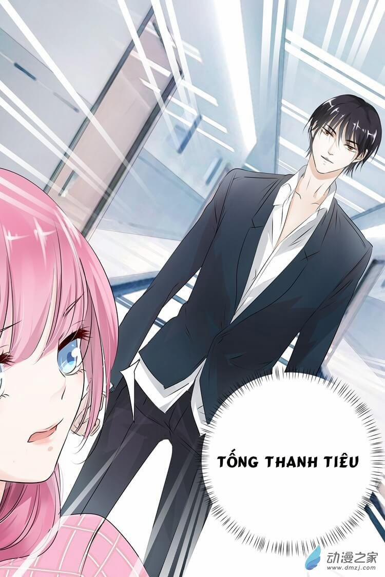 Đế Thiếu Đừng Mạnh Quá 3 trang 3